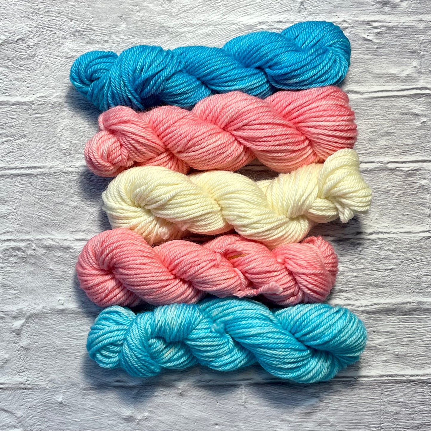 Trans Pride- Pride Kits - 100g Superwash Worsted