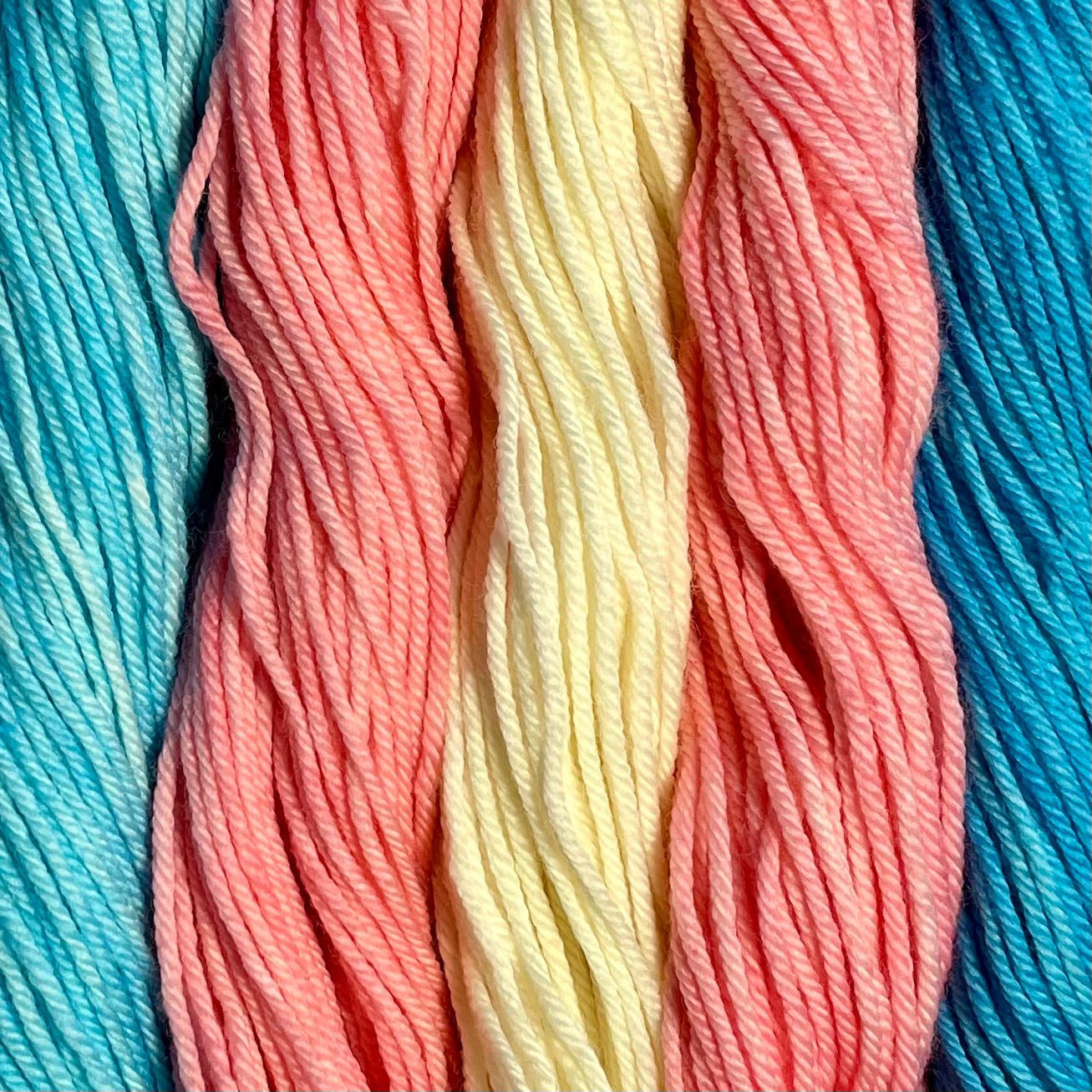 Trans Pride- Pride Kits - 100g Superwash Worsted