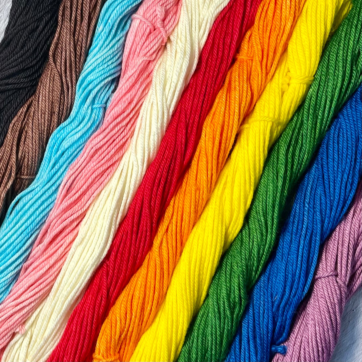 Progress Pride- Pride Kits - 220g Superwash Worsted