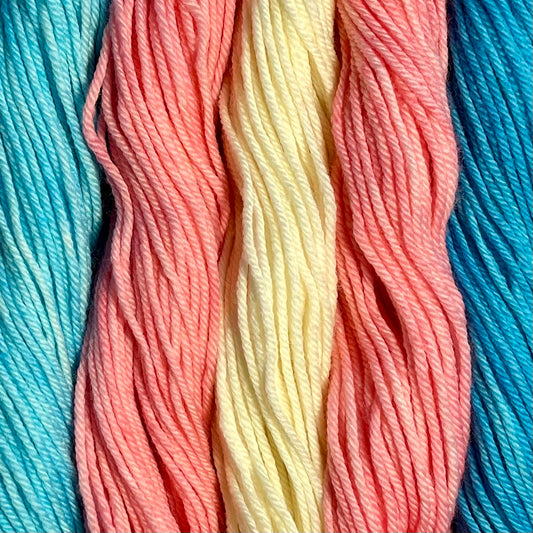 Trans Pride- Pride Kits - 100g Superwash Worsted