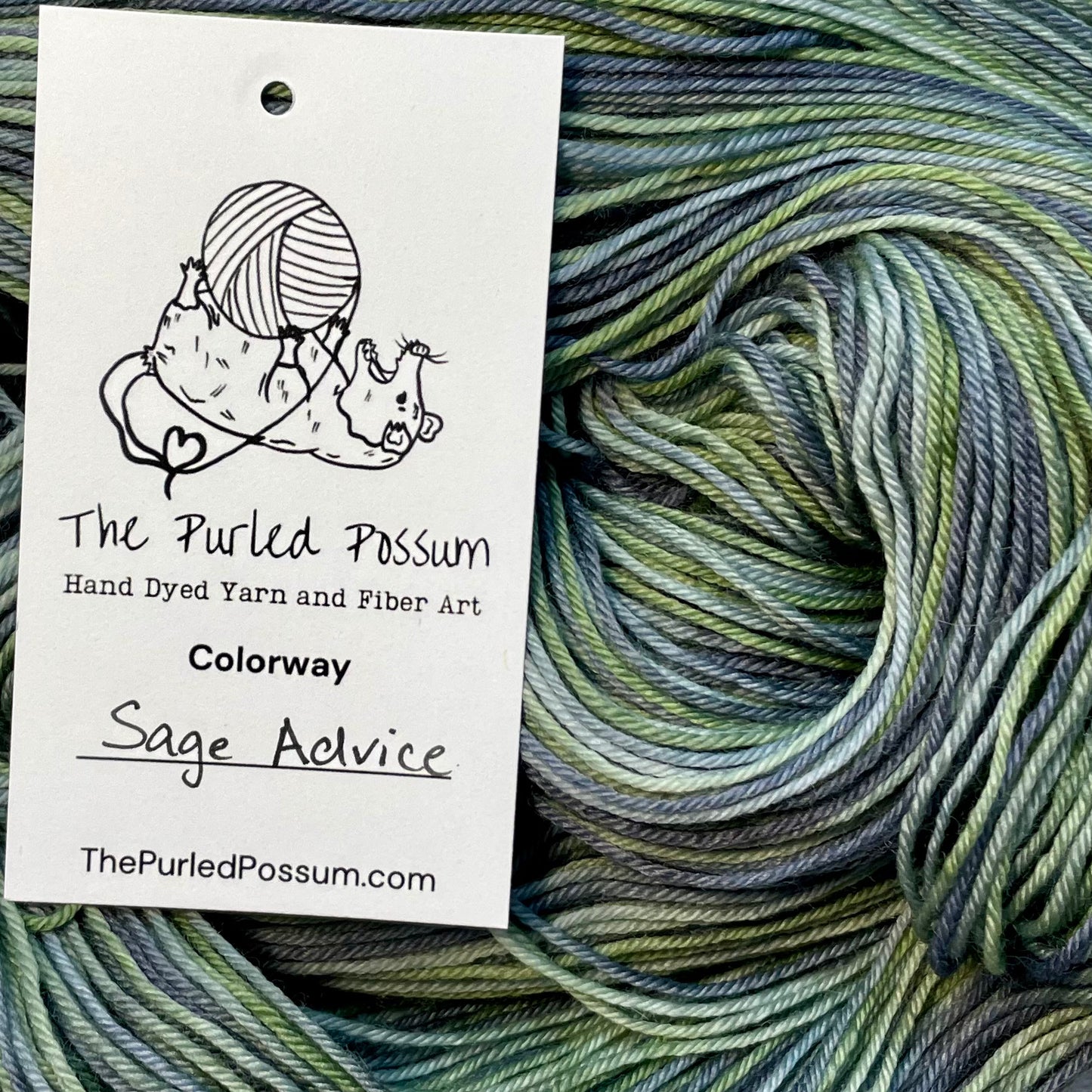 Sage Advice- Laboratory - 100g Superwash Sock